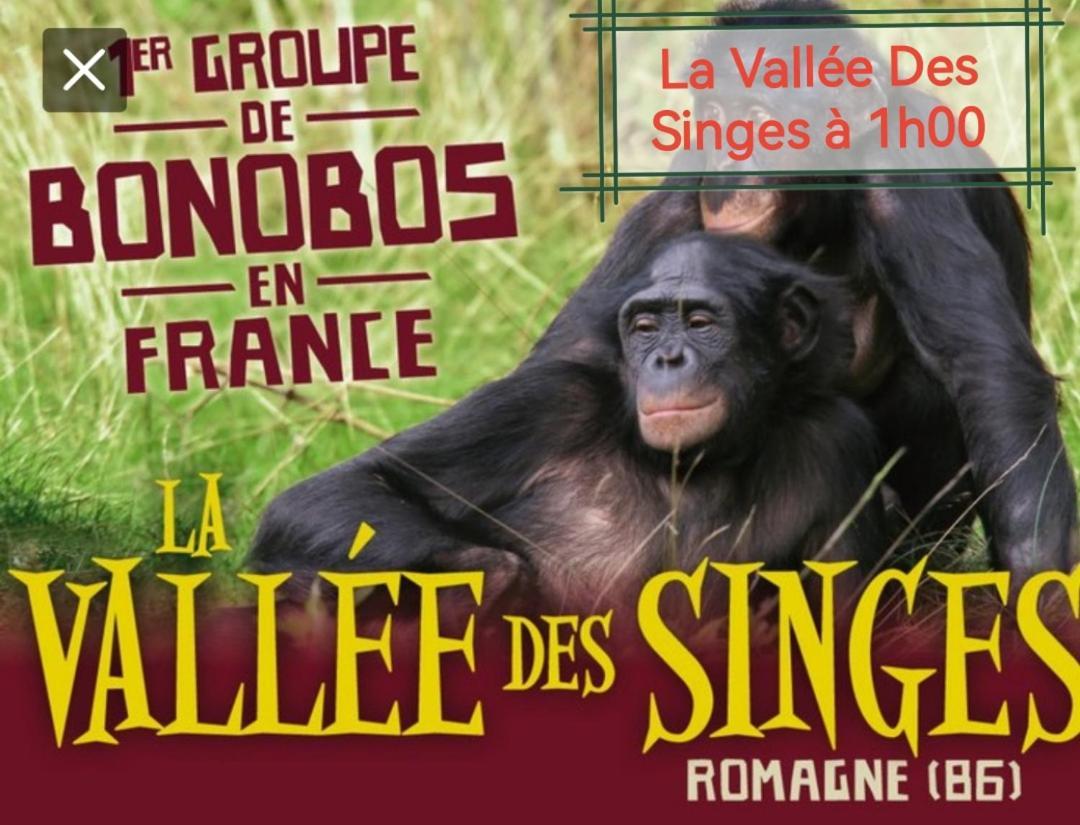 Gite De Charme Dans Un Cadre Calme Et Reposant シャテルロー エクステリア 写真